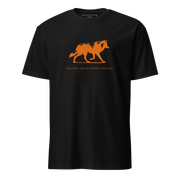 Black & Orange